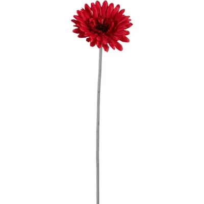 Bloemencentrale Gerbera mix 58cm
