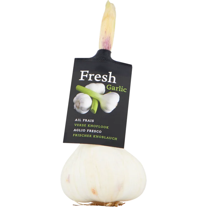 Verse Knoflook