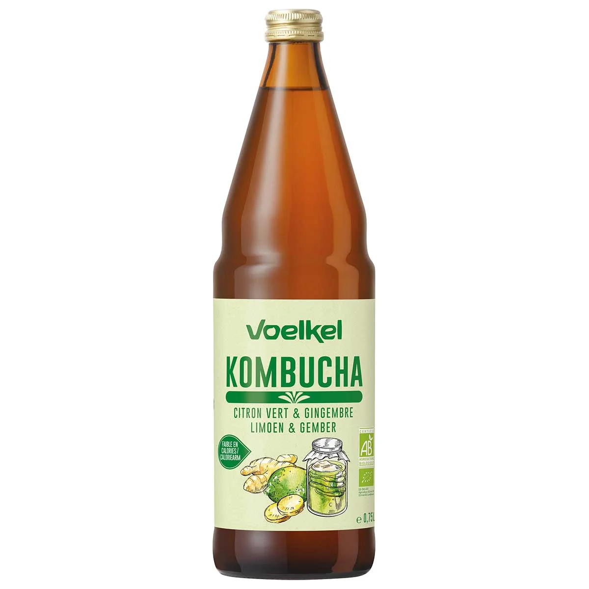 Kombucha lime ginger