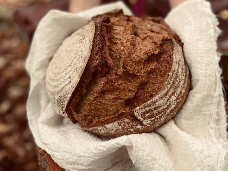 Het Lage Woud Bakt Masteluin desembrood - tarwe rogge