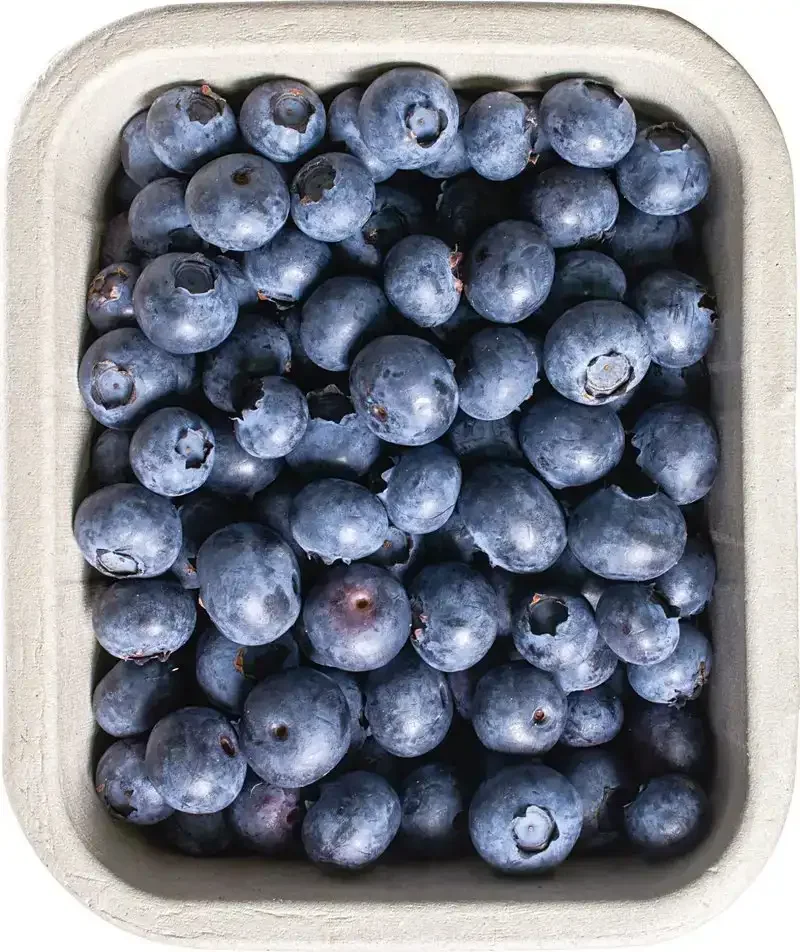 Blauwe bessen