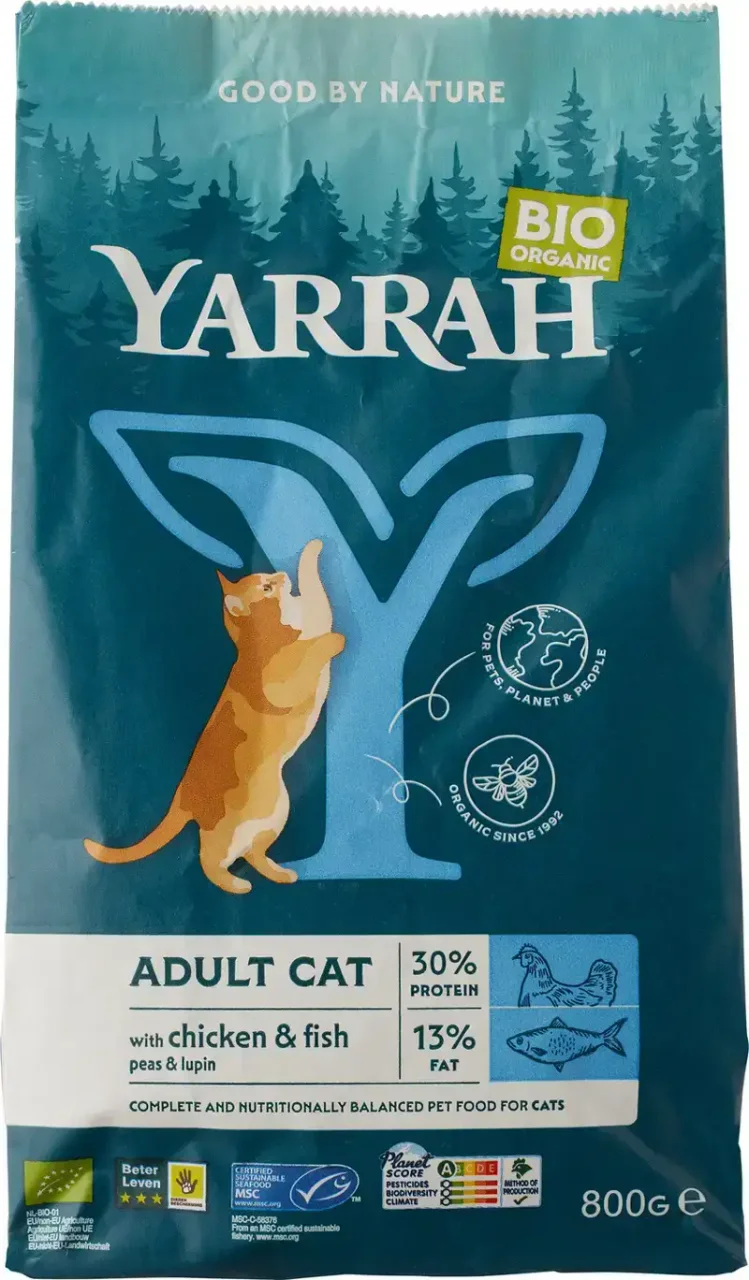 Kattenbrokken adult