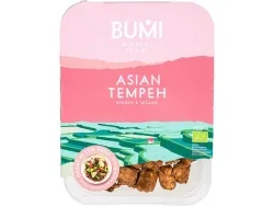 Aziatische tempeh