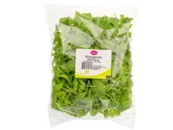 Rucola