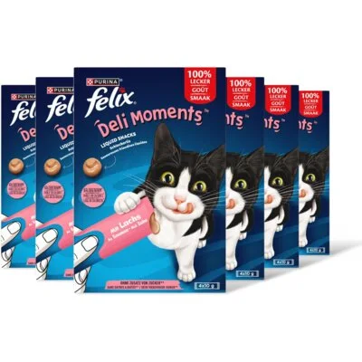 Felix Deli moments liquid snacks zalm 6-pack