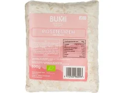 Rijsttempeh