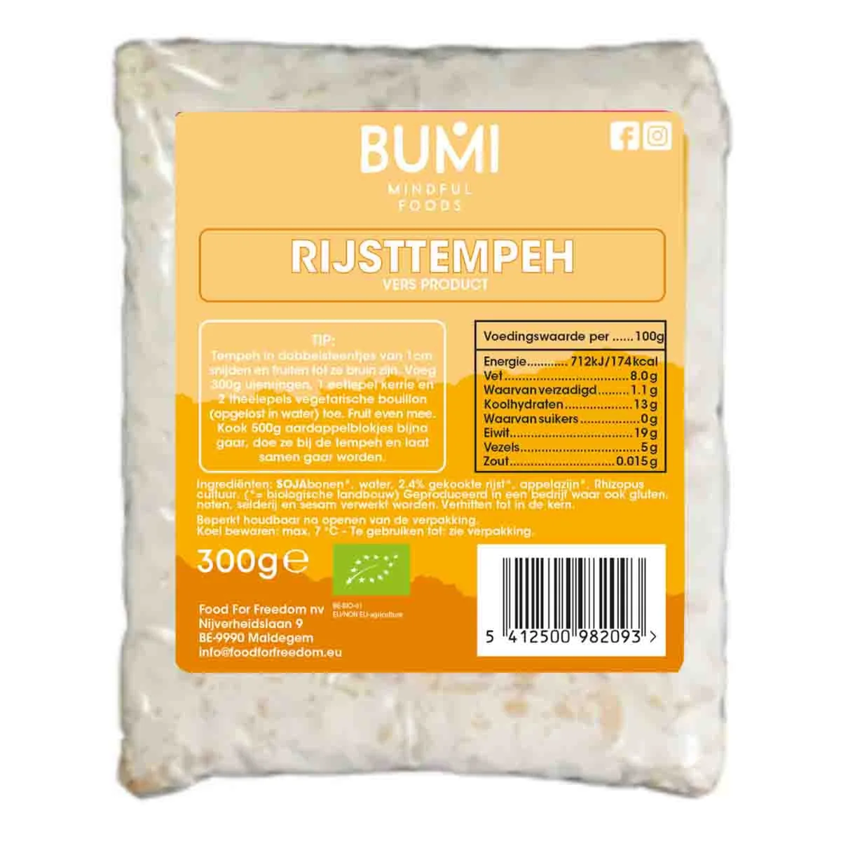 Rijsttempeh