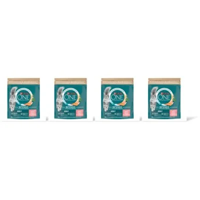 Purina ONE Adult rijk aan zalm 4-pack