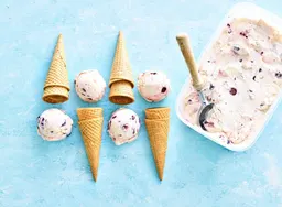 Blueberry-lemon frozen yoghurt.