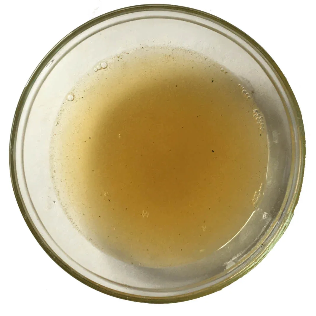 Biologische Bottenbouillon kip